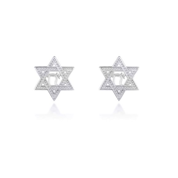 10K Solid Gold Star of David with Chai Stud Earrings - Yellow, Rose, or White